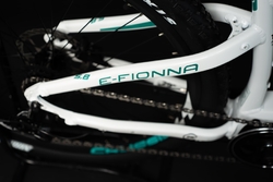 e-Fionna 5.8