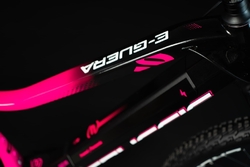 e-Guera 9.8-M