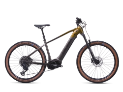 e-Atland 10.11-(715 Wh)