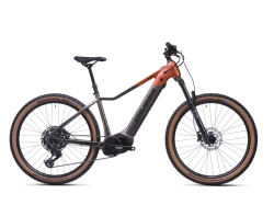 e-Guera 10.11-(894 Wh) 