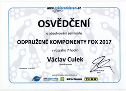 Servis kol 